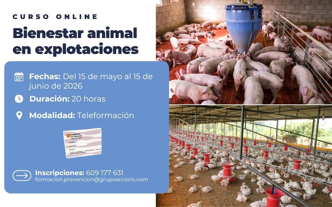 Curso de formación de Bienestar animal en explotaciones Mayo-Junio 2026