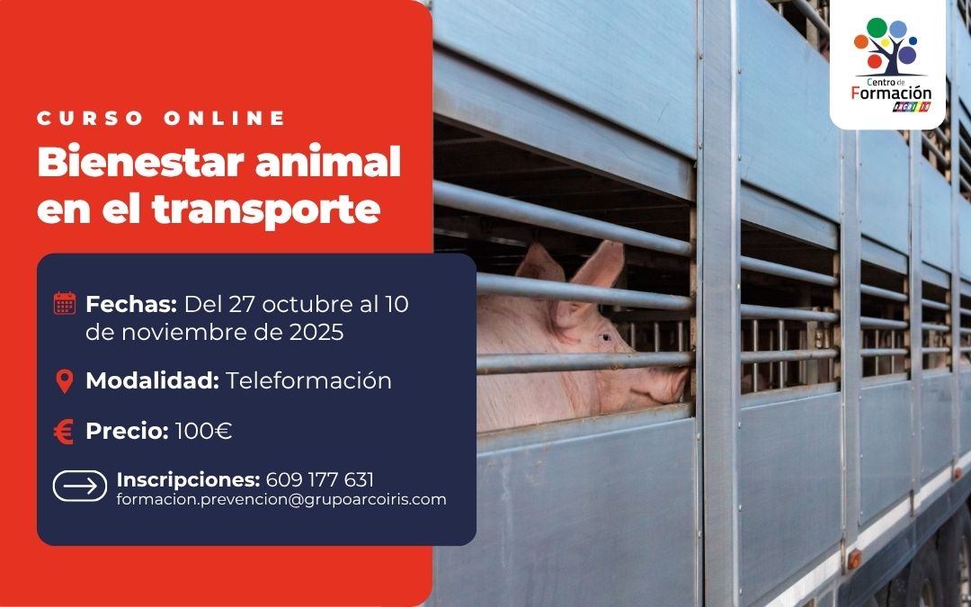 Centro de Formación Arcoiris inicia su curso online de “Bienestar animal en el transporte”